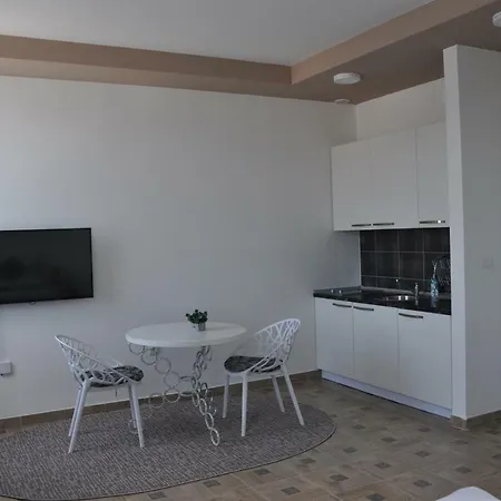 Apartment Studio Torinex *
